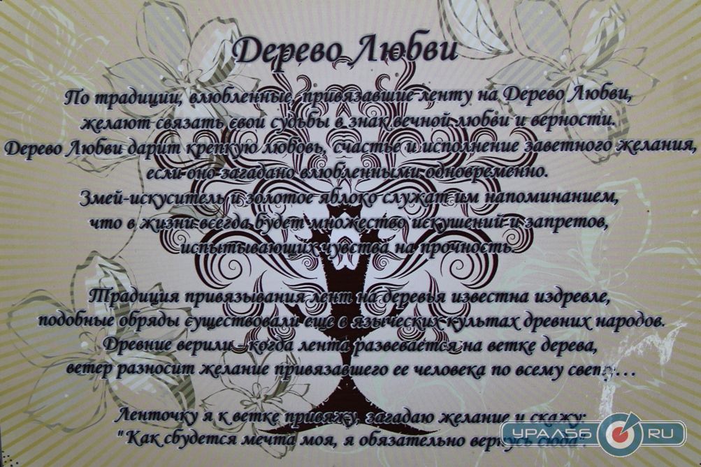 дерево любви оренбург