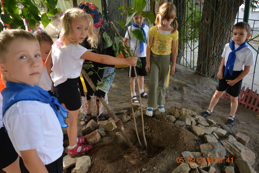 Воспитанники детского сада Гномик сажают сирень, Орск