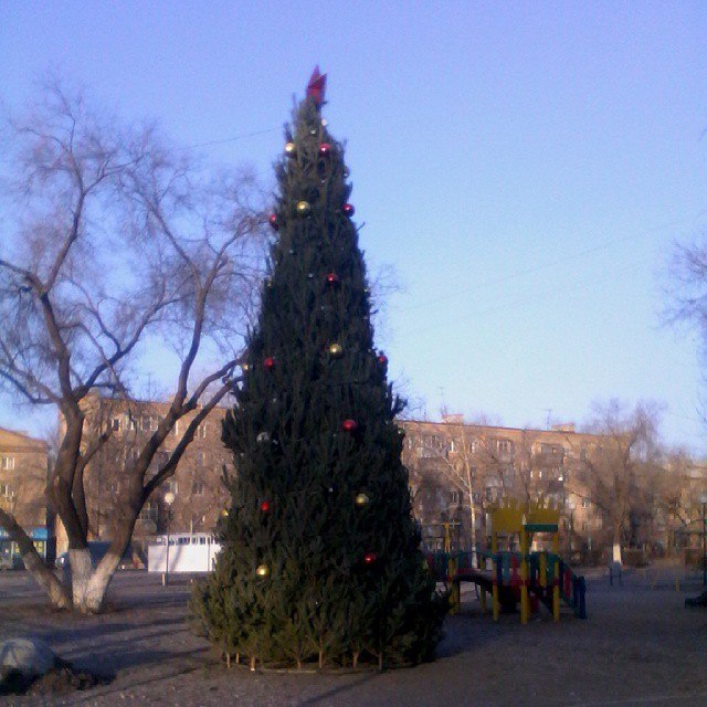 В Оренбурге устанавливают елки
