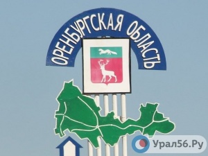 Мухи-дрозофилы, выращенные в космосе, приземлились в Оренбургской области