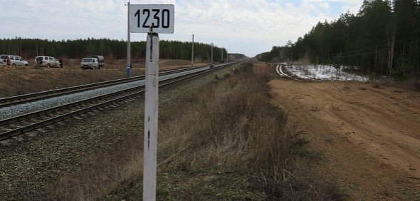 Проезжающие через Бузулукский бор поезда теперь обязательно будут подавать звуковой сигнал