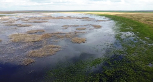 Облака на неподвижной глади воды: Биозаказник «Светлинский» показал свои озера с высоты