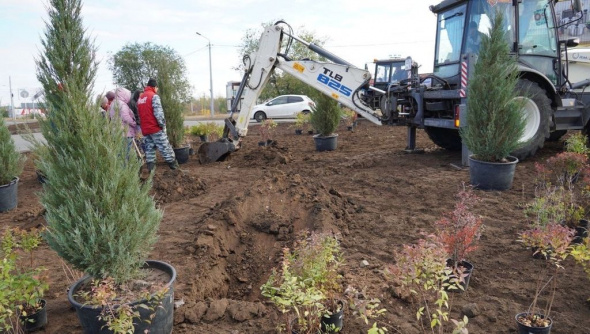 В Оренбурге нашли подрядчика для посадки деревьев. Цену контракта снизили на 323 тысячи рублей