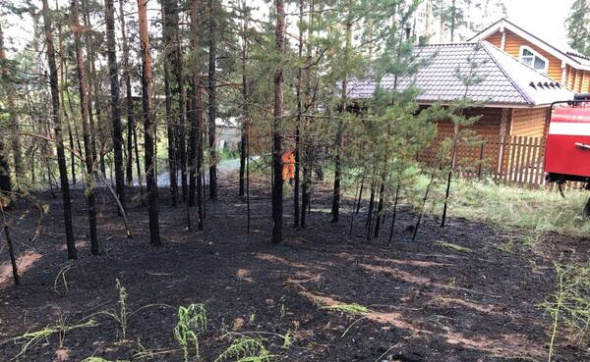 Из-за углей от мангала на территории Бузулукского бора чуть не произошел пожар