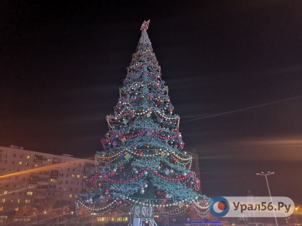 В Оренбурге нарядили первую большую новогоднюю елку