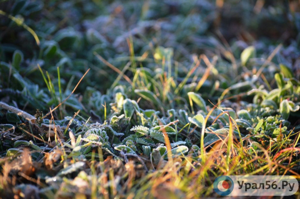 Заморозки до -2°С ожидаются в Оренбургской области ночью и утром 27 апреля