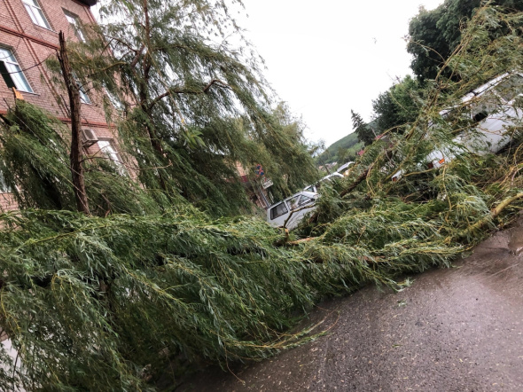 Местами нет света и воды: Глава Бугуруслана опубликовал обращение к жителям в связи с ураганом