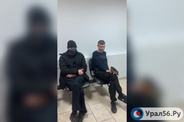 Человека в костюме смерти задержали на территории цемзавода в Новотроицке