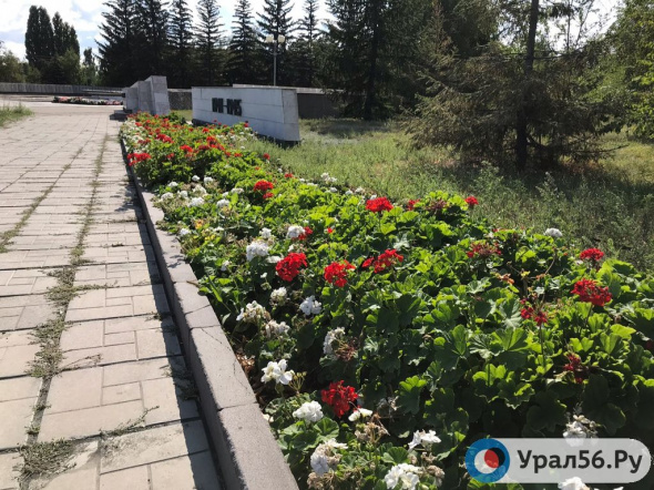 Более 1 млн рублей в Орске направят на цветники в Сквере Славы и на части клумб Ленинского района