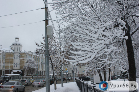 Выходные в Оренбургской области будут «сухими» и морозными. Прогноз погоды на ближайшие дни