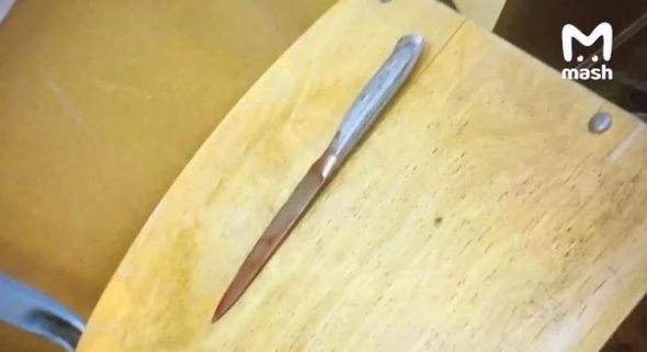 26 ударов ножом по лицу: В Подмосковье ученица 5-класса пыталась зарезать свою одноклассницу