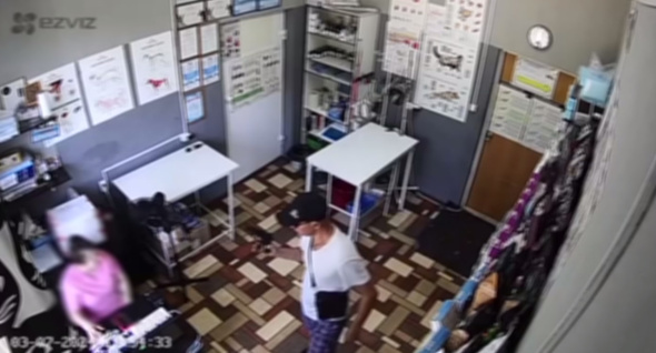 В ветеринарной клинике Бугуруслана местный житель с пистолетом устроил скандал (видео)