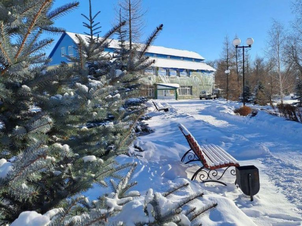 Белые шапки на деревьях, снежная простыня на озере: Как выглядит парк Строителей Орска зимой