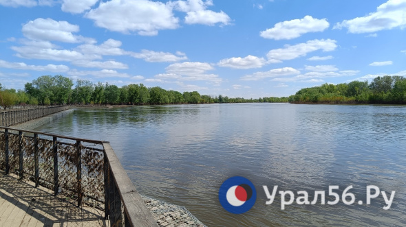 В Оренбурге уровень Урала за сутки поднялся на 10 см  