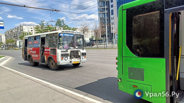 Администрация Оренбурга обжалует решение суда, согласно которому  частные перевозчики могут не обновлять автобусы