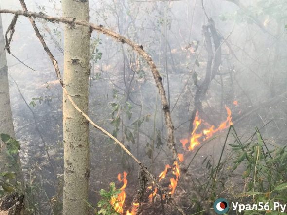 До 5 октября в Оренбургской области сохранится высокая пожарная опасность – 4 класс