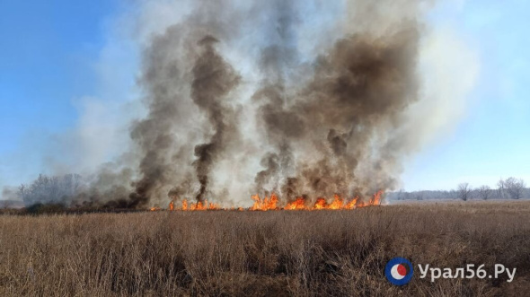 В некоторых районах Оренбургской области сохраняется 5 класс пожарной опасности 