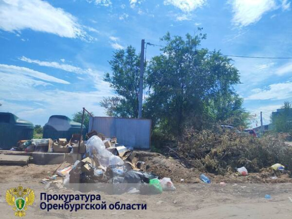 На 30 000 рублей оштрафовали ООО «Природа» из-за нарушения графика вывоза мусора в Соль-Илецком районе