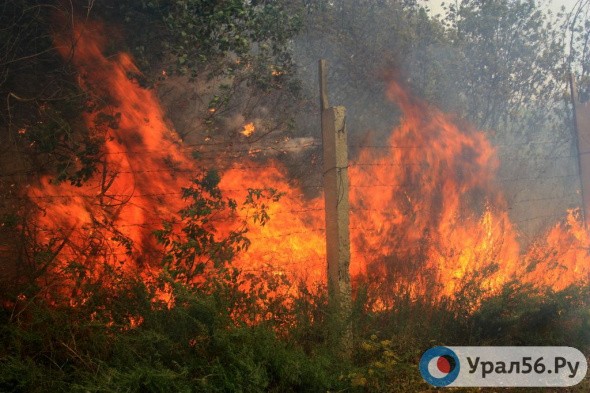 Пожар в Первомайском районе произошел после посиделок у костра