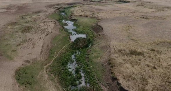 Река Чаган в Первомайском районе загрязняется сточными водами и мелеет