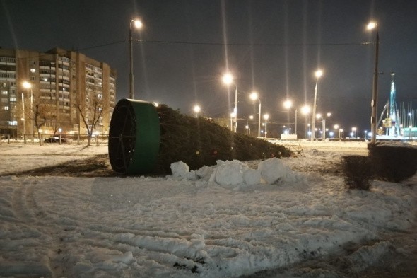 Сильный ветер уронил елку в Оренбурге