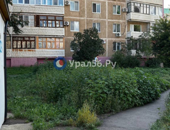 Трава переросла кусты: жители Оренбурга жалуются на состояние дворов и общественных мест 