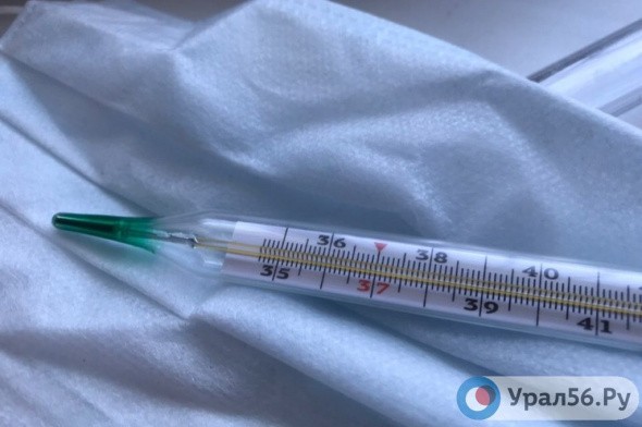 В Оренбургской области с 1 октября заработает горячая линия по профилактике заболеваемости гриппом и ОРВИ