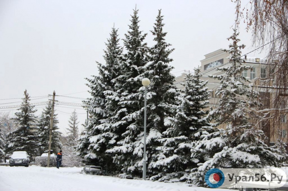 Наступившая неделя в Оренбургской области будет снежной и без сильных морозов