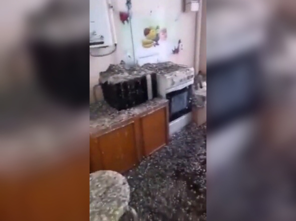 Вернувшийся с вахты житель Оренбурга обнаружил в своей квартире голубиное гнездо и загаженную мебель