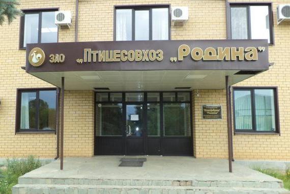 Экс-директора птицефабрики «Родина» признали виновным в сокрытии более 7 млн рублей налогов