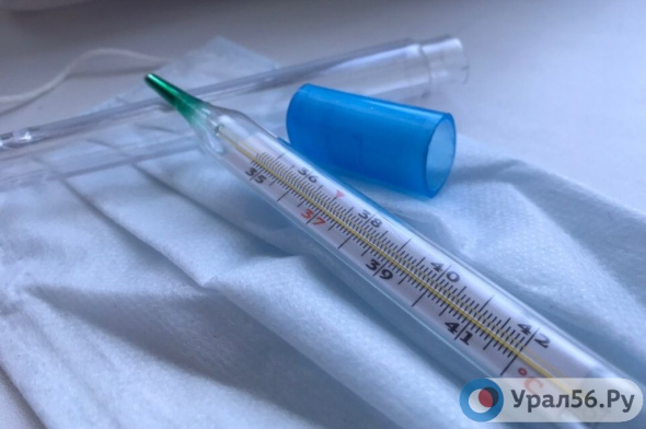 С 1 по 7 января в Оренбургской области снизилось число заболевших гриппом и ОРВИ