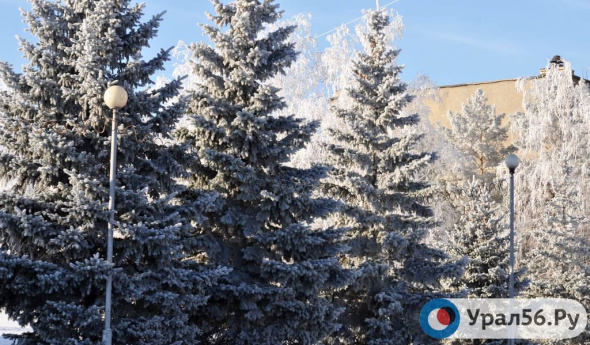 15 января в Оренбургской области ожидается мороз до -33°C