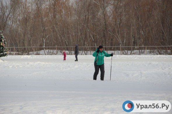 Зимой в парке Строителей будет работать каток и прокат лыж и коньков