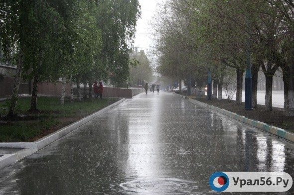 Почти всю неделю в Оренбургской области будут идти дожди