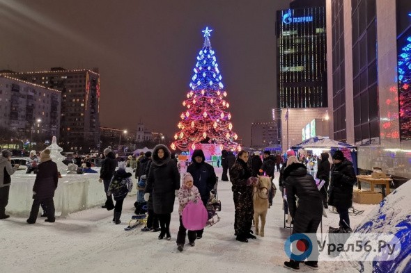 В Оренбурге открыли первую новогоднюю елку