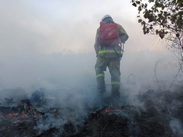 Огнеборцы ликвидировали три очага природного пожара в Оренбургской области: оперативная информация к данному часу 