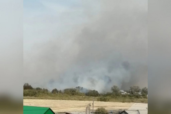 Очередной пожар вспыхнул в районе поселка Адамовка: огонь с сухой травы перекинулся на хозпостройку и жилой дом