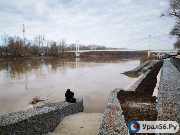 Паводок-2022: Список закрытых для движения и затопленных мостов Оренбургской области 11 апреля