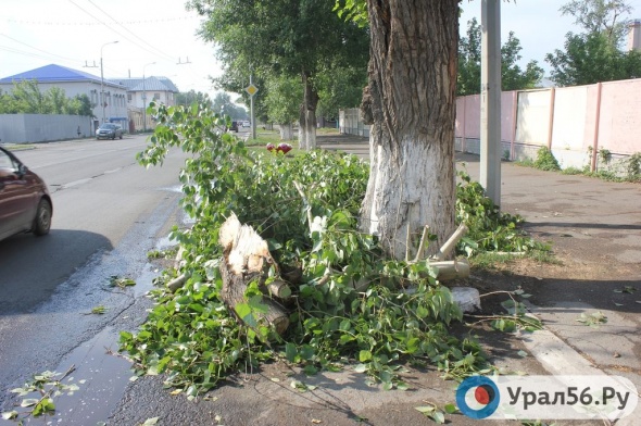Оренбург после урагана: поваленные деревья и затопленные улицы