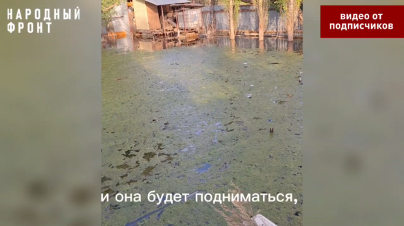 В садовом товариществе «Лесные дачи» под Оренбургом третий месяц стоит вода 