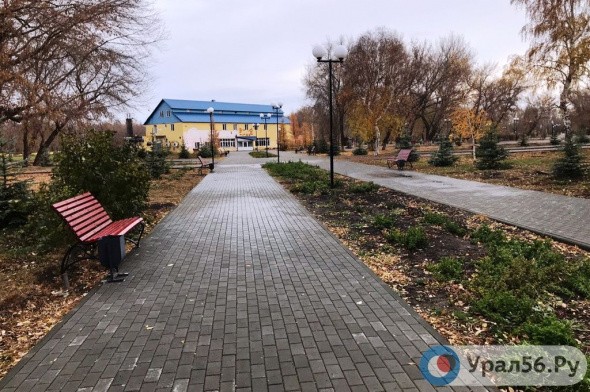В парке Строителей Орска разобьют большой цветник: руководство уже строит планы на будущий год