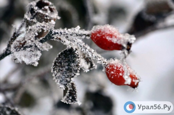 В ближайшие сутки в Оренбургской области ожидается мороз до -31°C