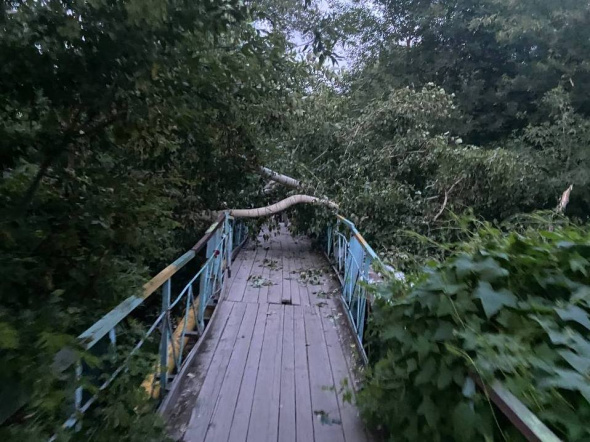 Пешеходный мост через реку в центре Орска завалило упавшим деревом