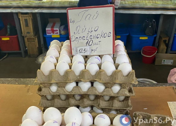 «Оренбуржцам еще повезло»: Одна из птицефабрик прокомментировала высокие цены на яйца в Оренбургской области 