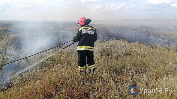 В Оренбургской области из-за загоревшейся телеги начался степной пожар около заповедника