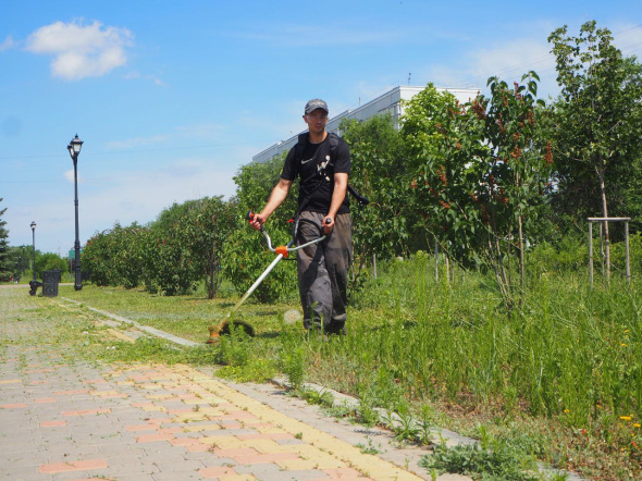 Виноват паводок: В администрации Оренбурга назвали причину большого количества мусора и травы на улицах города