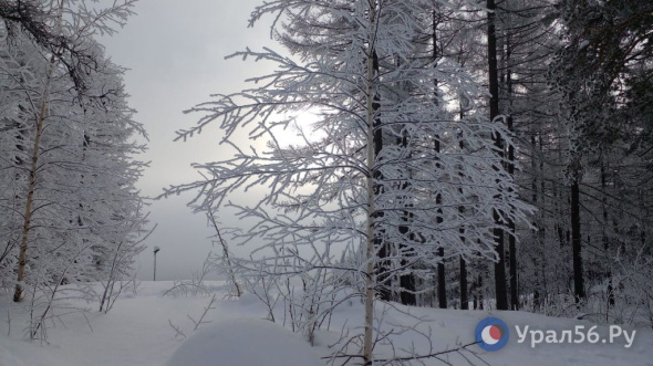 Зима заканчиваться пока не собирается: Наступившая неделя в Оренбургской области будет солнечной и морозной