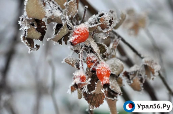 В Оренбургской области ожидается резкое похолодание. Температура опустится до -30°С