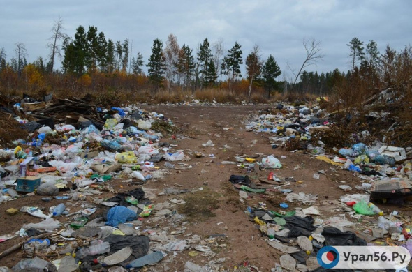 Администрацию Переволоцкого района обязали ликвидировать мусорный полигон, работающий с нарушениями  