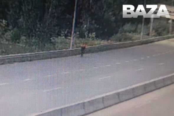 В Башкирии военнослужащий-доброволец вышел на шоссе с угрозой взорвать гранату